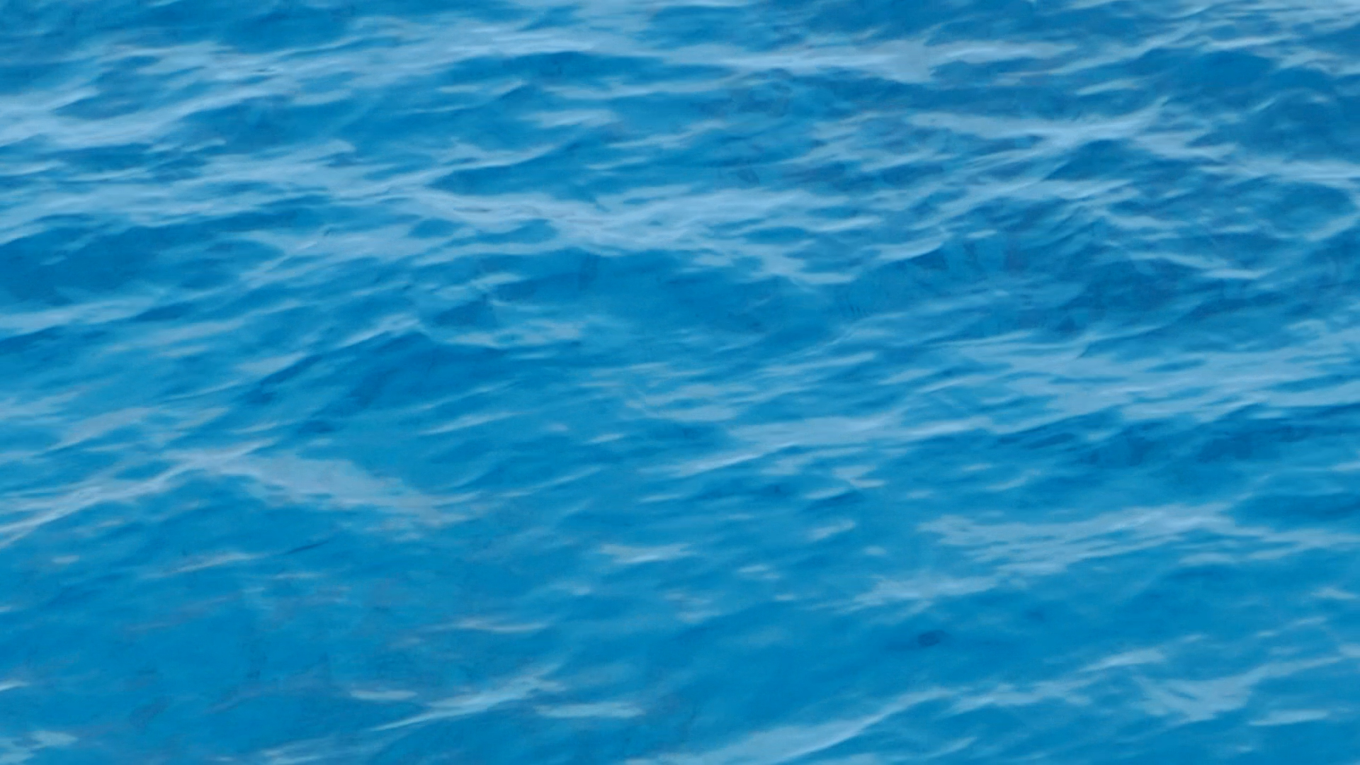 2022-11-08 06 Uhr 12 das Meer (Video)